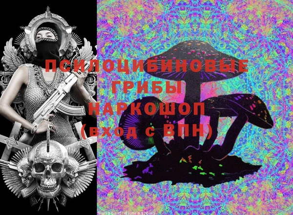 дмт Надым