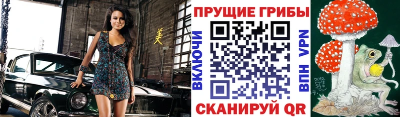 Псилоцибиновые грибы GOLDEN TEACHER Нарткала